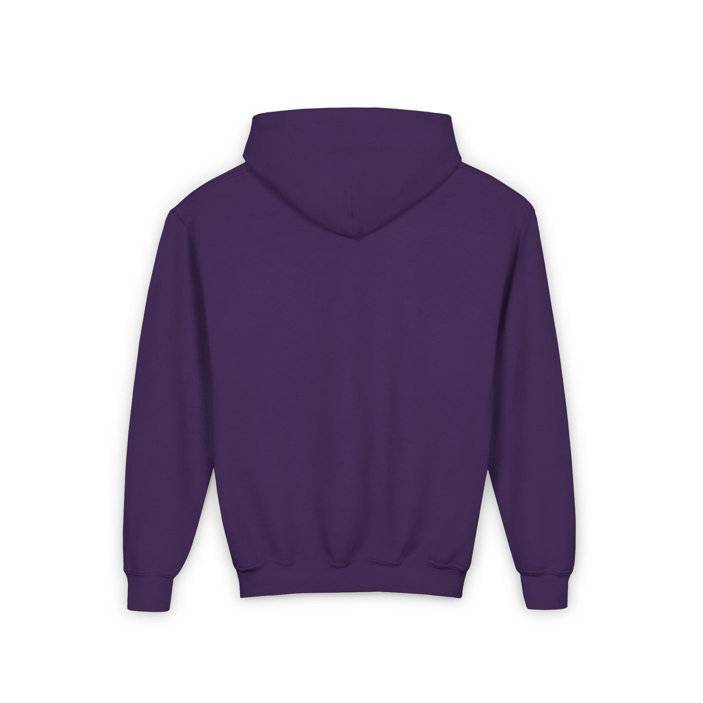 Youth Hoodie - "This is my Fancy Eid Outfit"